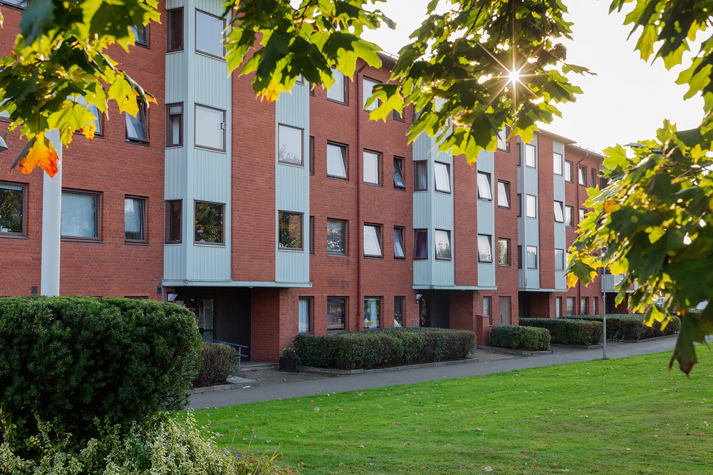 En rad med flerfamiljshus i rött tegel med vita detaljer, omgivna av välskötta buskar och en grön gräsmatta. Solen skiner genom lövverket på träden i förgrunden