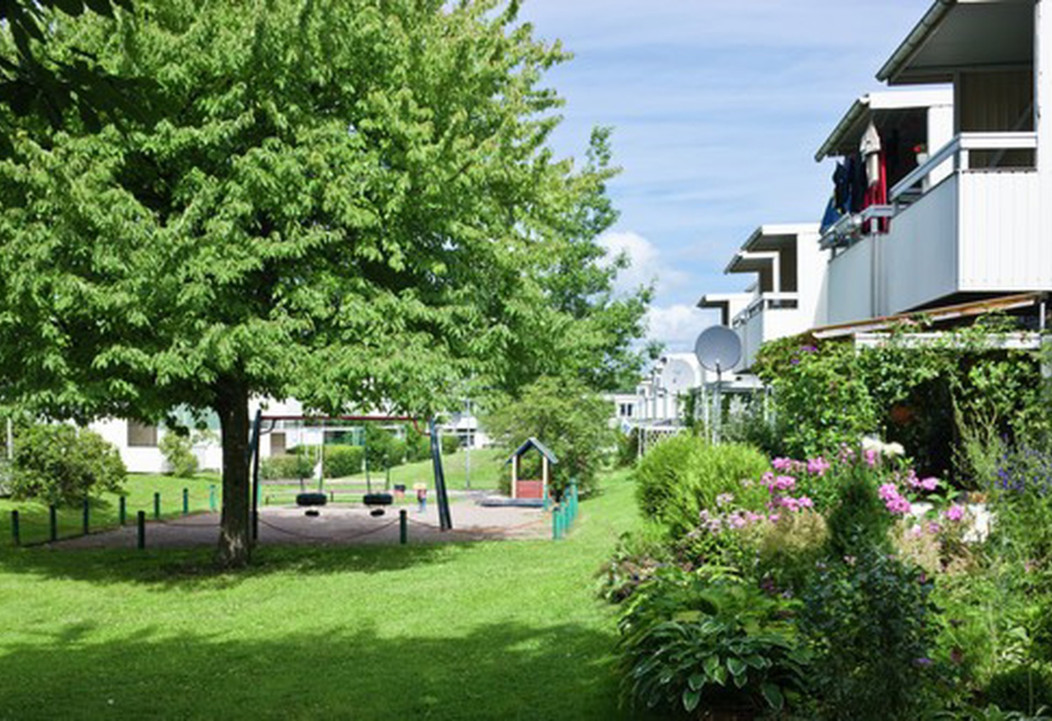 Grönskande sommardag med lägenhetshus till höger i bild.