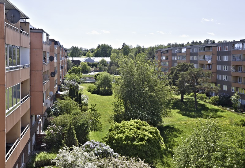 Bild på en gård med gräs tillsammans med och träd i en solig miljö