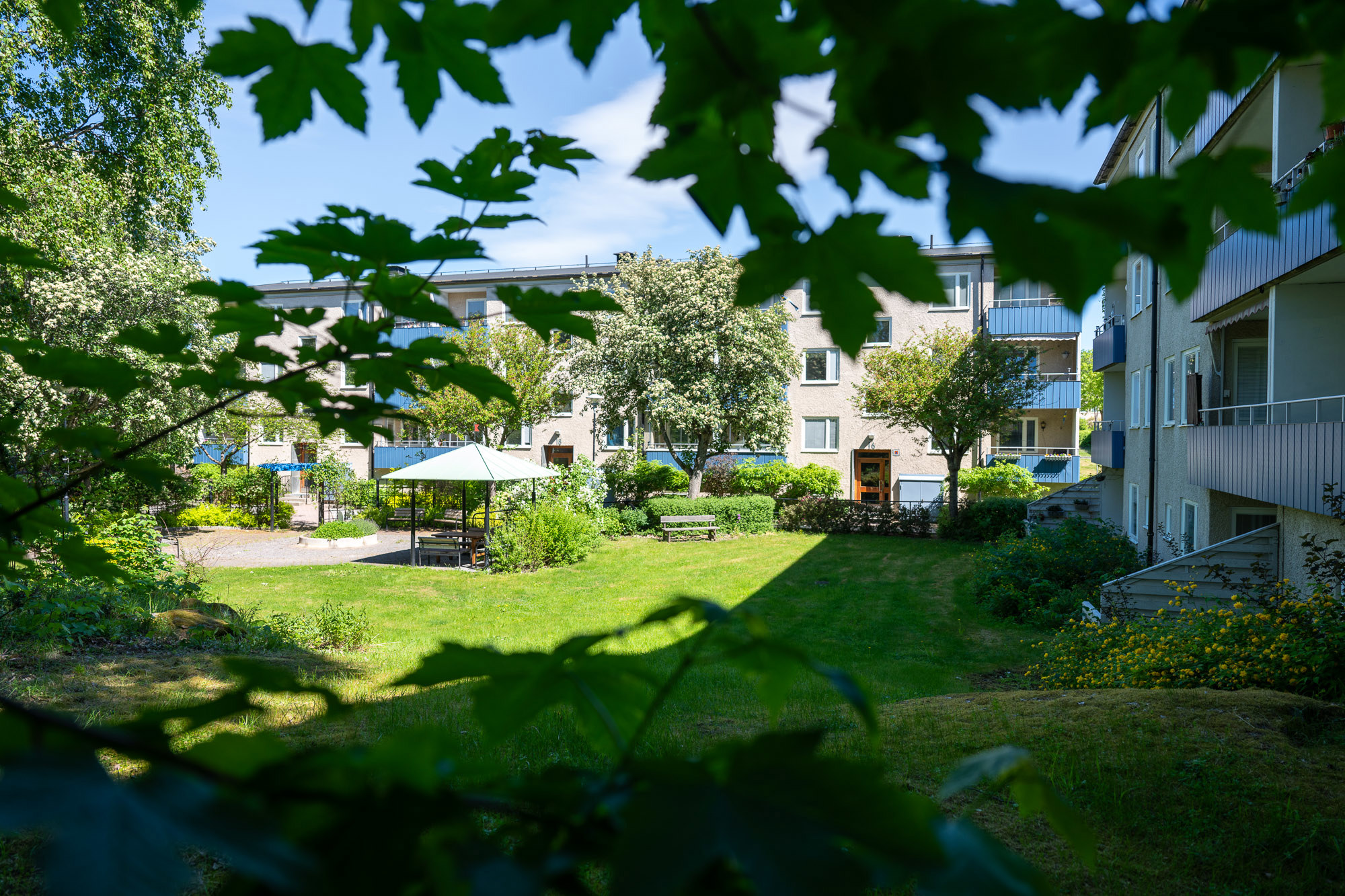 Grönskande gård omsluten av två låga byggnader. 