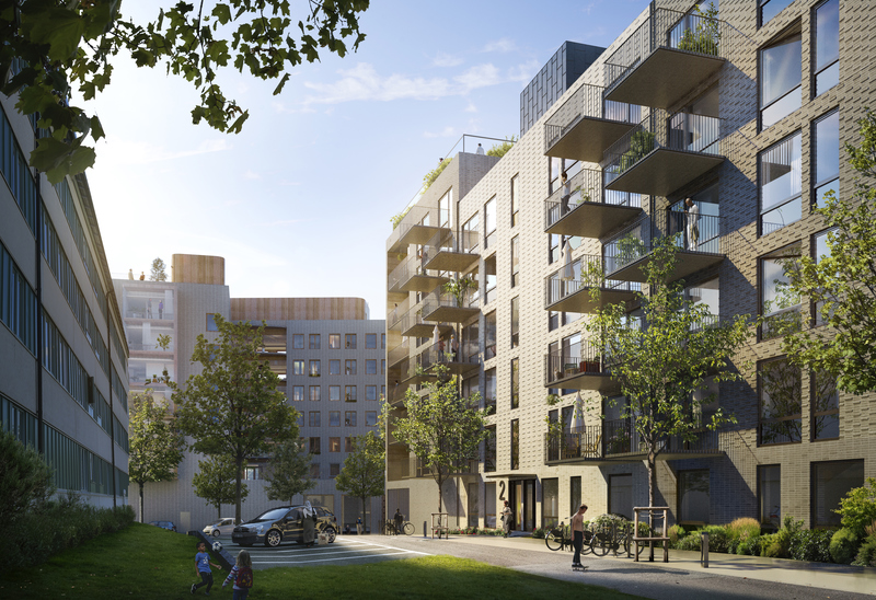 Bostadsområde med grönskande gång, i bakgrunden en ljusblå himmel
