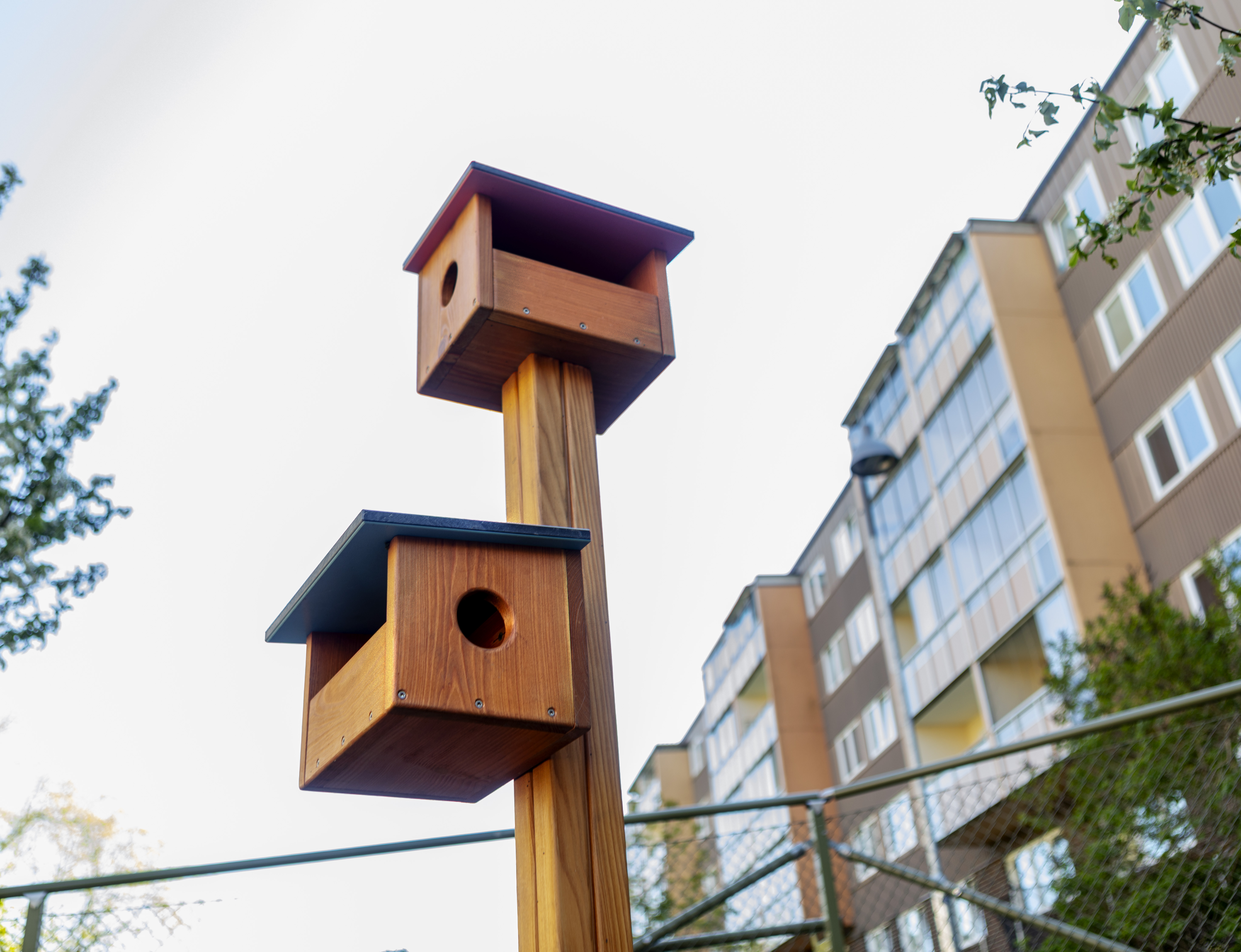 Detaljbild från gården med fokus på fågelholkar