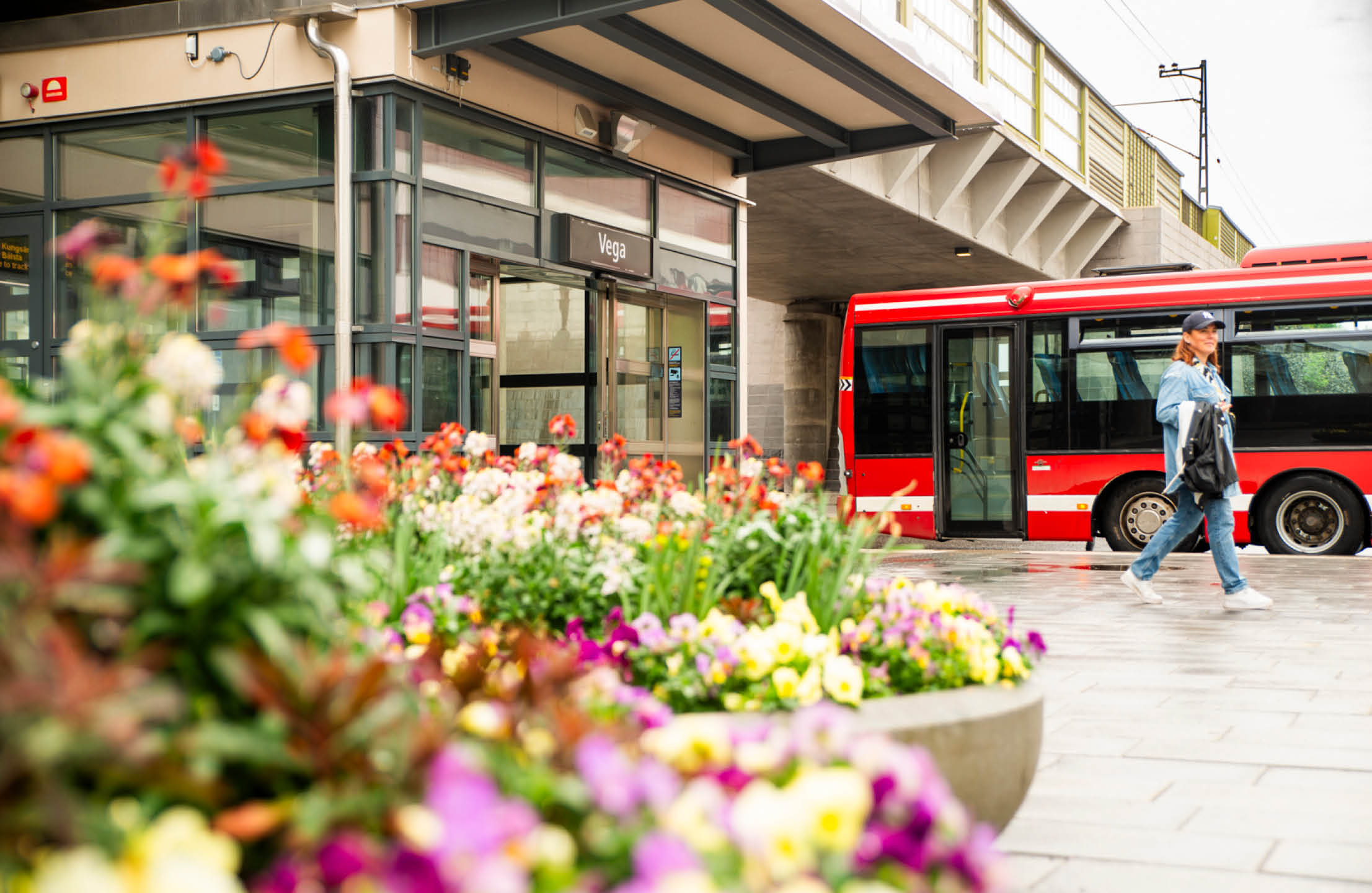 Bild på buss på torg med fokus på blommor