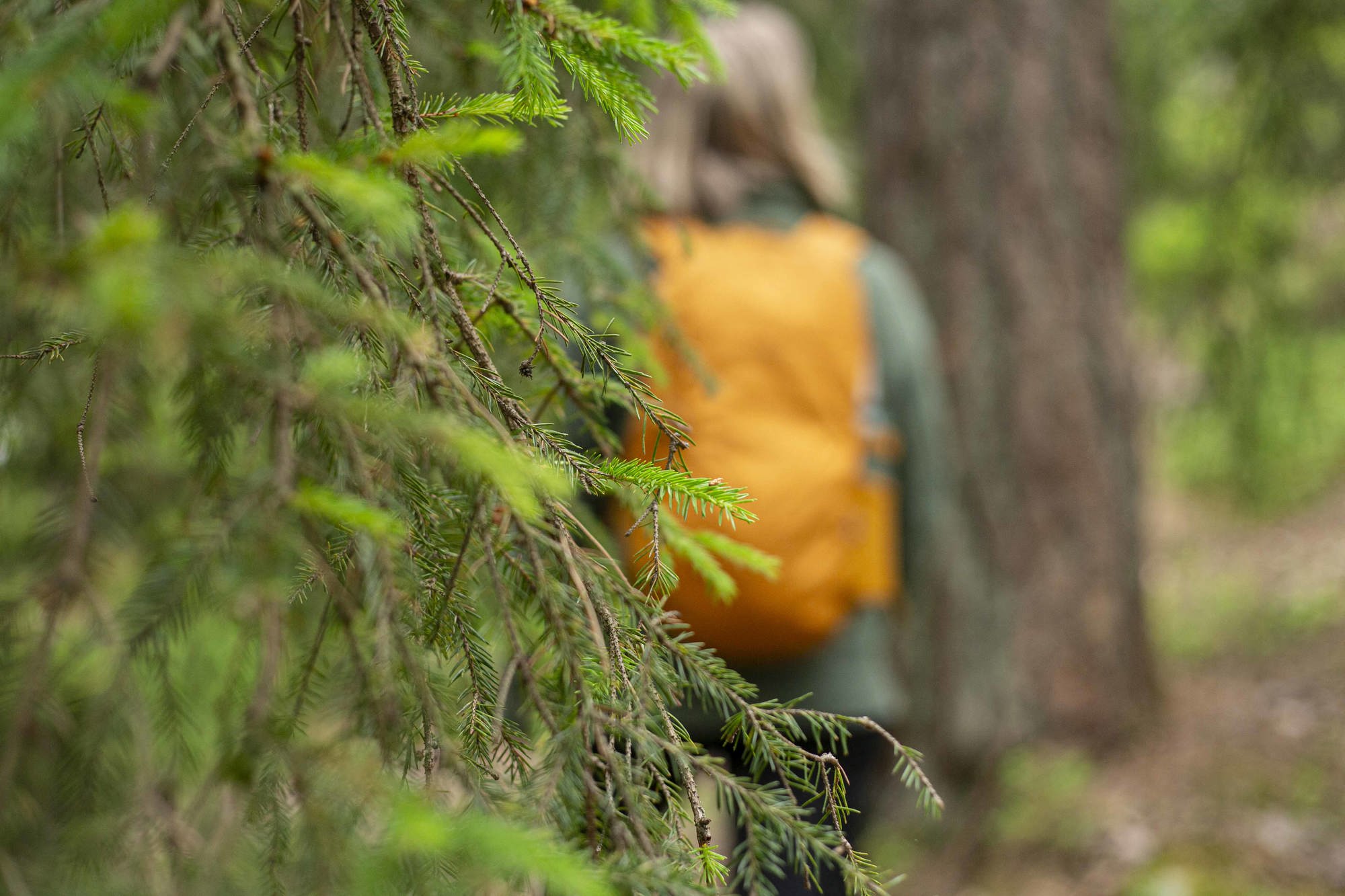 Kvinna med orange ryggsäck som går i skogen